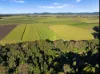 279, Dulguigan NSW 2484-Image