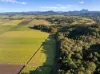 279, Dulguigan NSW 2484-Image