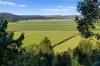279, Dulguigan NSW 2484-Image