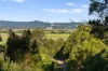 279, Dulguigan NSW 2484-Image