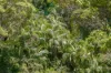 279, Dulguigan NSW 2484-Image