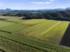 279 Dulguigan Road, Dulguigan, NSW 2484-Image