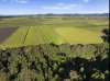 279 Dulguigan Road, Dulguigan, NSW 2484-Image