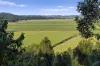 279 Dulguigan Road, Dulguigan, NSW 2484-Image