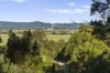 279 Dulguigan Road, Dulguigan, NSW 2484-Image