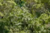 279 Dulguigan Road, Dulguigan, NSW 2484-Image