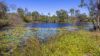 279 Myers Road, Moolboolaman QLD 4671-Image