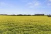28 Davidson Road, Mininera, Vic 3351-Image