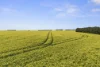 28 Davidson Road, Mininera, Vic 3351-Image