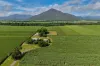 280 Highleigh Road, Gordonvale, Qld 4865