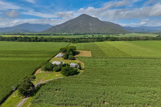 280 Highleigh Road, Gordonvale, Qld 4865