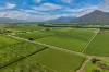 280 Highleigh Road, Gordonvale, Qld 4865-Image