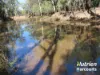 285 Burncluith Road, Chinchilla, Qld 4413-Image