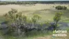 285 Burncluith Road, Chinchilla, Qld 4413-Image