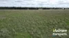 285 Burncluith Road, Chinchilla, Qld 4413-Image