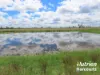 285 Burncluith Road, Chinchilla, Qld 4413-Image