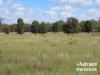 285 Burncluith Road, Chinchilla, Qld 4413-Image