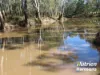 285 Burncluith Road, Chinchilla, Qld 4413-Image