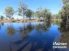 285 Burncluith Road, Chinchilla, Qld 4413-Image