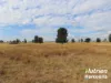 285 Burncluith Road, Chinchilla, Qld 4413-Image