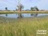 285 Burncluith Road, Chinchilla, Qld 4413-Image