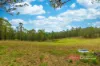 29 Harris Road, Bunyah, NSW 2429-Image