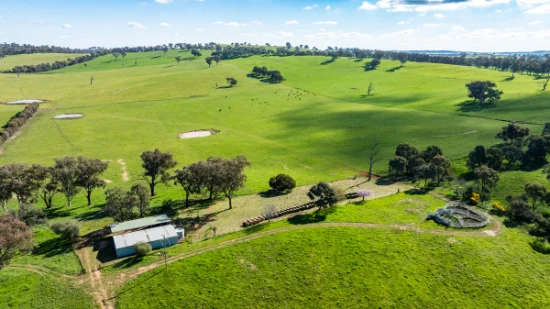 295 Hovell Road, Bungowannah, NSW 2640