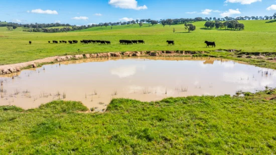 295 Hovell Road, Bungowannah, NSW 2640-Image
