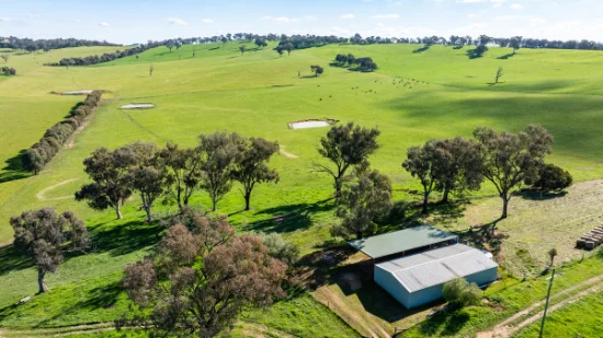 295 Hovell Road, Bungowannah, NSW 2640-Image