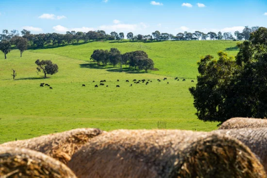 295 Hovell Road, Bungowannah, NSW 2640-Image