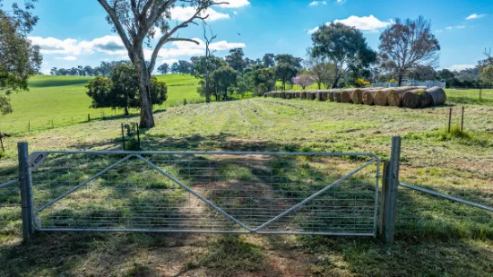 295 Hovell Road, Bungowannah, NSW 2640-Image