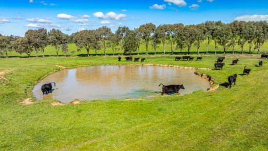 295 Hovell Road, Bungowannah, NSW 2640-Image