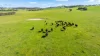 295 Hovell Road, Bungowannah, NSW 2640-Image