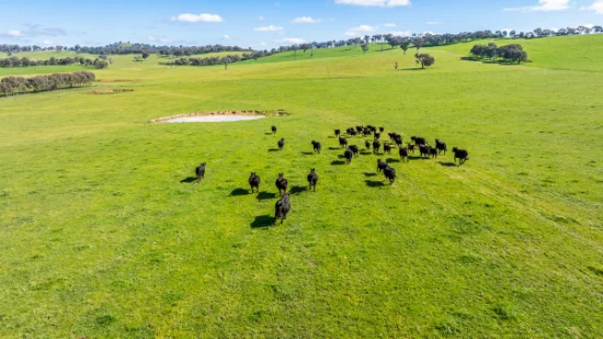 295 Hovell Road, Bungowannah, NSW 2640-Image