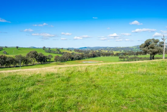 295 Hovell Road, Bungowannah, NSW 2640-Image