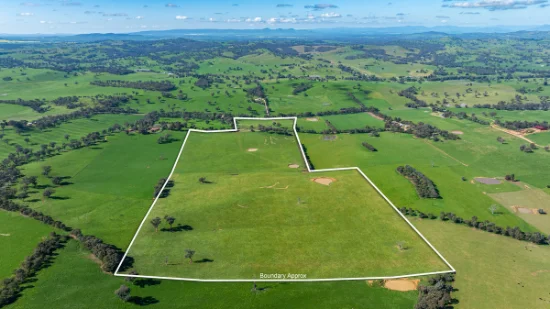 295 Hovell Road, Bungowannah, NSW 2640-Image