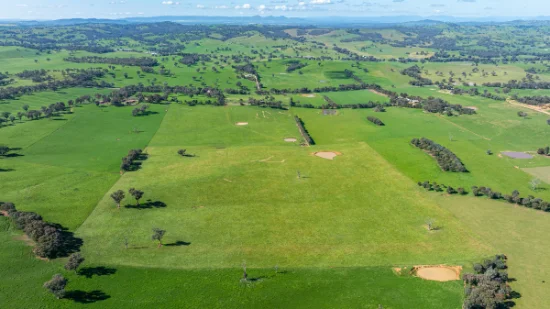 295 Hovell Road, Bungowannah, NSW 2640-Image