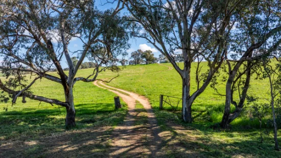 295 Hovell Road, Bungowannah, NSW 2640-Image