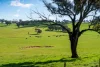 295 Hovell Road, Bungowannah, NSW 2640-Image