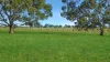 298 Arthurs Road, Telopea Downs, Vic 3420-Image