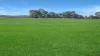 298 Arthurs Road, Telopea Downs, Vic 3420-Image