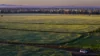 298 Eumungerie Road, Narromine, NSW 2821