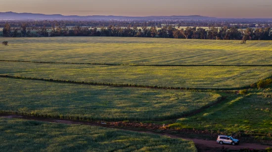 298 Eumungerie Road, Narromine, NSW 2821