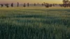 298 Eumungerie Road, Narromine, NSW 2821-Image
