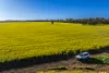 298 Eumungerie Road, Narromine, NSW 2821-Image