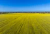 298 Eumungerie Road, Narromine, NSW 2821-Image