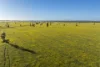 298 Eumungerie Road, Narromine, NSW 2821-Image