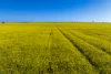 298 Eumungerie Road, Narromine, NSW 2821-Image