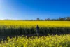 298 Eumungerie Road, Narromine, NSW 2821-Image