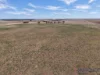29935 Brand Highway, Yardarino, WA 6525-Image